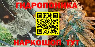 не бодяженный Абакан